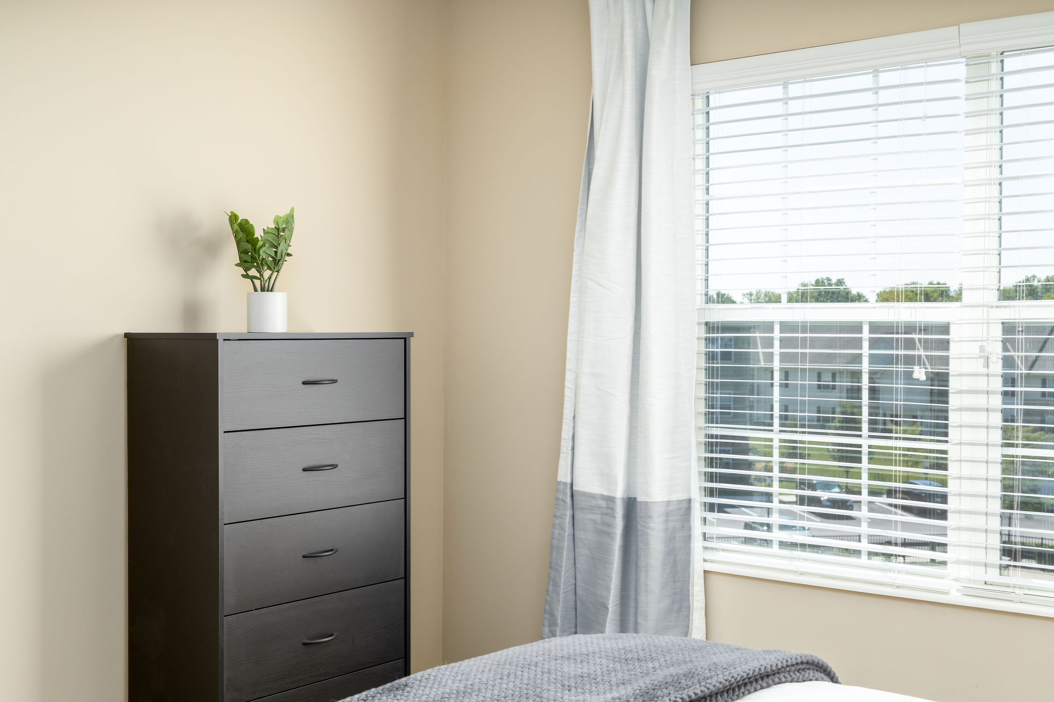 A bedroom window and a black chest of drawers with a plant on top in a furnished apartment near New Albany Ohio