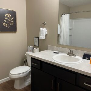 A bathroom vanity, a toilet, and a bathtub in a furnished apartment in Hilliard Ohio